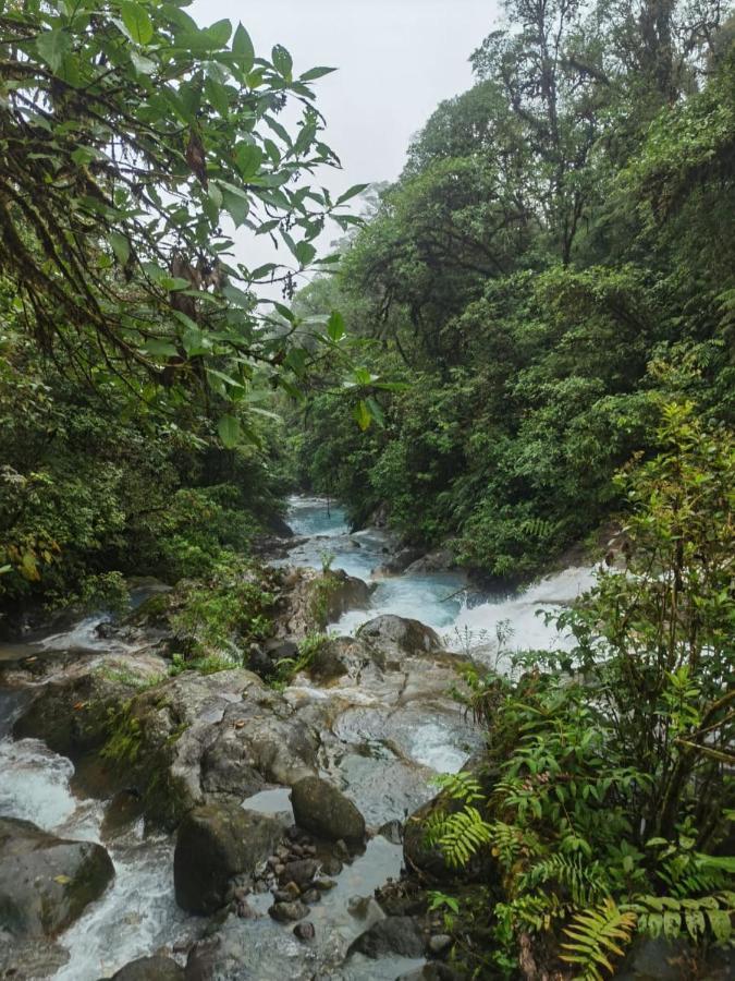 Selvatica Del Toro Lejlighed Bajos del Toro Eksteriør billede