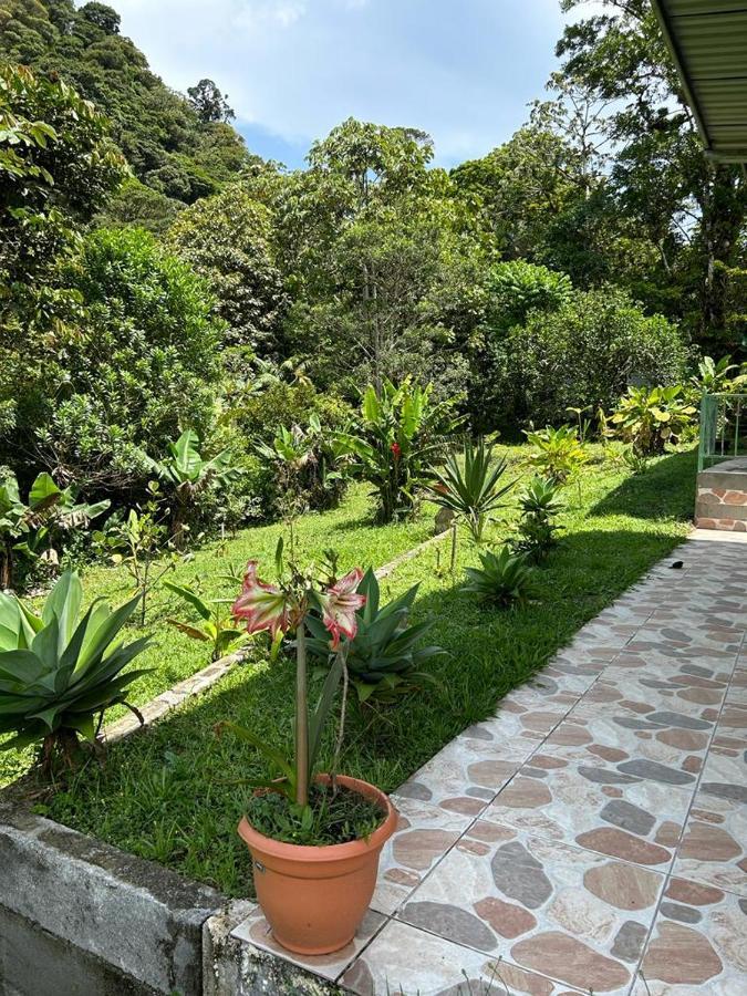 Selvatica Del Toro Lejlighed Bajos del Toro Eksteriør billede