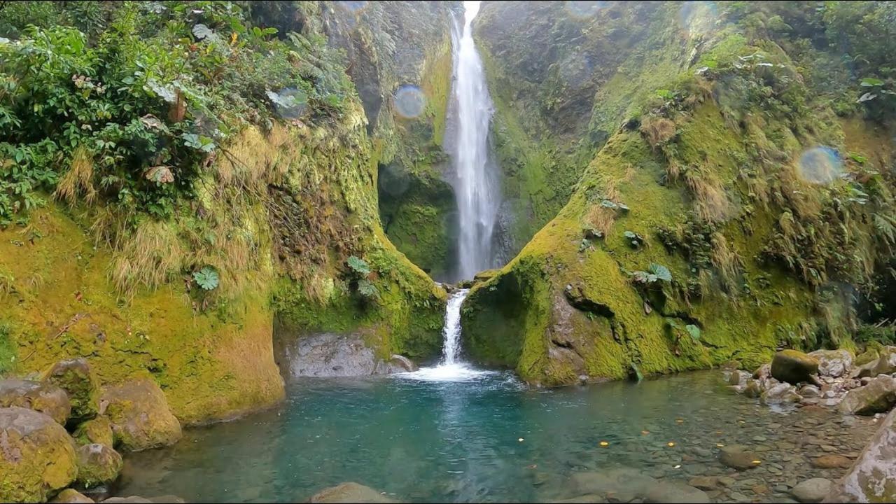 Selvatica Del Toro Lejlighed Bajos del Toro Eksteriør billede