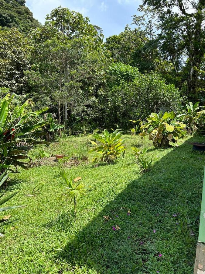 Selvatica Del Toro Lejlighed Bajos del Toro Eksteriør billede